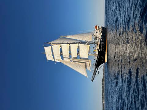      Tall ship on shimmering water with low coastline in background
  