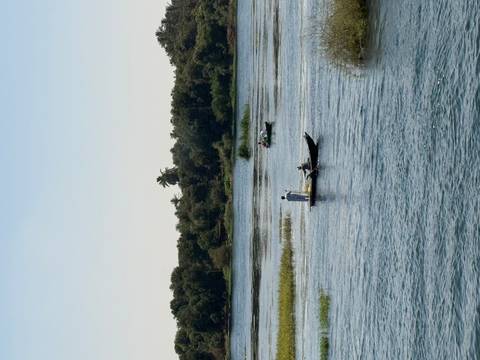       Local fishermen stand in small boats on the calm Nile River amid lush green banks.
  