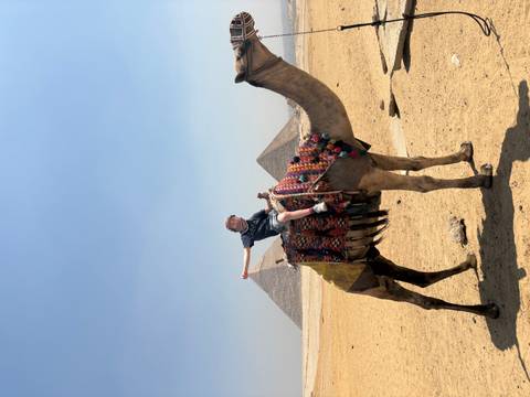       Traveller atop a decorated camel with the Pyramids of Giza rising from the desert behind.
  
