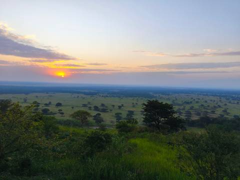       Golden sunrise breaking over a vast savanna dotted with acacia trees and distant haze.
  