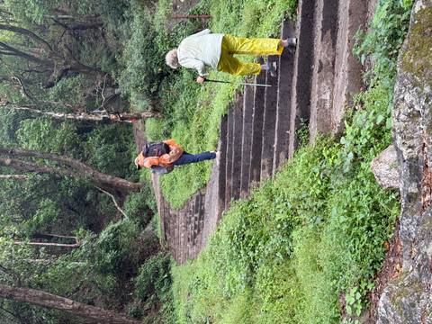       Hikers climbing a steep stone stairway through lush forest with backpacks and trekking poles
  
