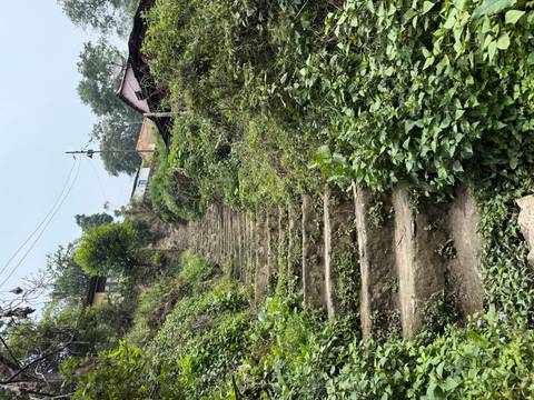       Steep village stone stairway covered in greenery ascending between simple houses
  