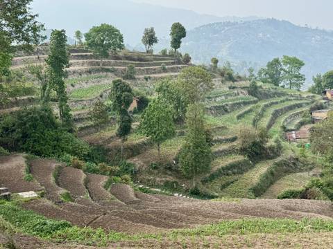       Green terraced hillsides with scattered trees and small farm huts under hazy skies.
  