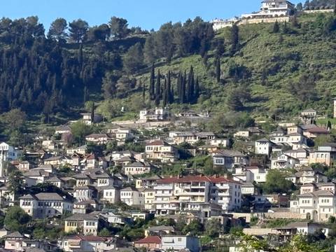       Hillside view of Gjirokastra’s traditional stone houses and tall cypress trees backed by greenery.
  