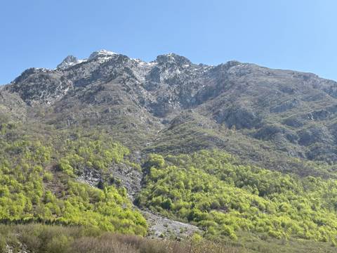       Snow-dusted alpine peaks rise sharply above dense spring greenery in northern Albania.
  
