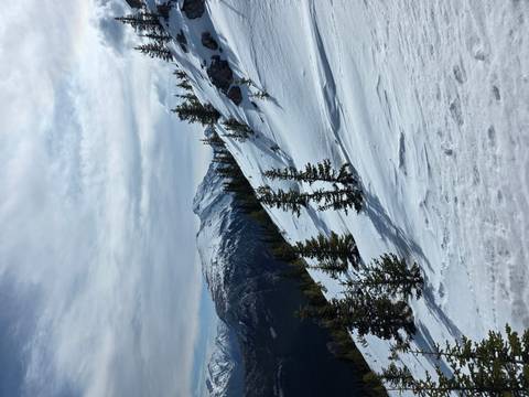       Snow-covered alpine slope with evergreen trees leading toward rugged mountain peaks under a moody sky.
  