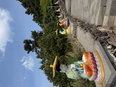       Row of colorful seated Buddha statues lines a stone path under sunny skies and pine trees.
  
