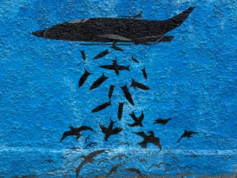       Close-up of a blue textured wall featuring a black stencil mural of birds or fish falling from an abstract shape.
  