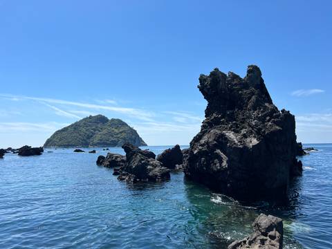       Jagged dark rock formations rising from a calm blue sea with a lush island in the background.
  