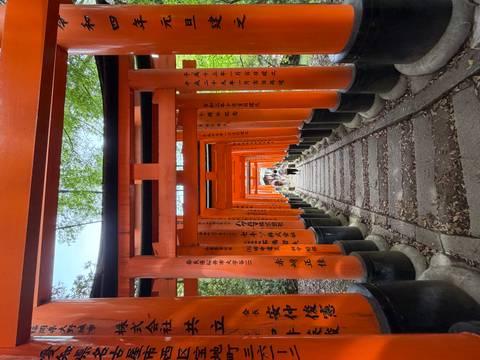       Long tunnel of vibrant orange torii gates with visitors walking up stone steps.
  