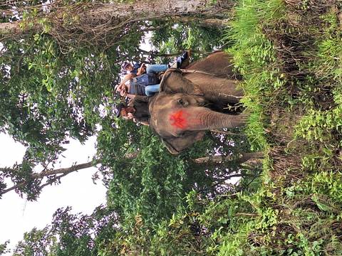       Nepals bester Familienurlaub: Kathmandu, Everest, Nagarkot, Pokhara &amp; Chitwan10 Tage Foto von Kundenbewertung 
  