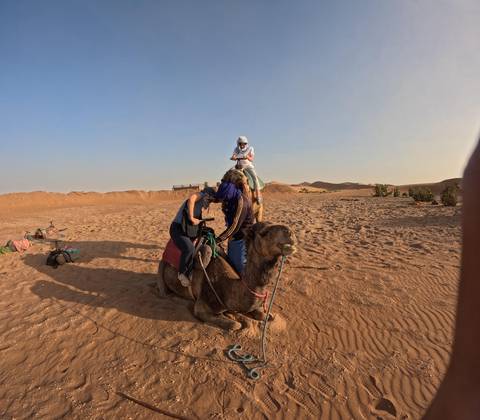       Friends mounting camels on sandy desert plain at sunset.
  