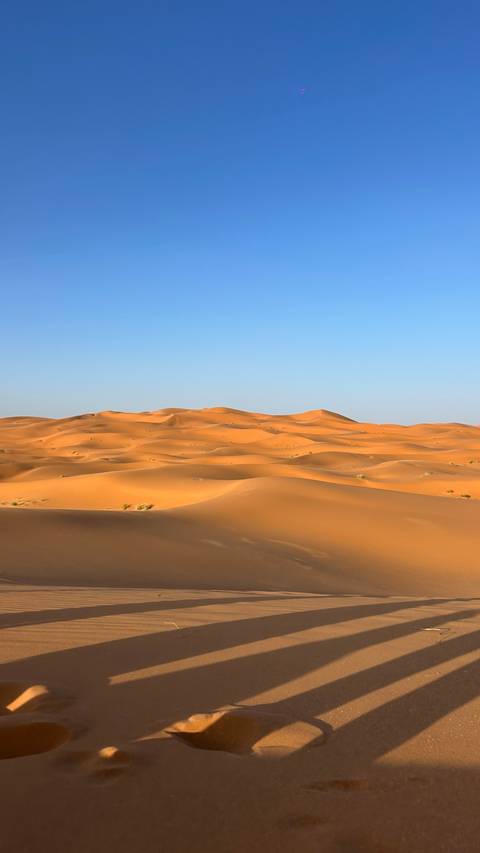       Golden sand dunes roll in gentle waves beneath a clear pale-blue sky in the Sahara.
  