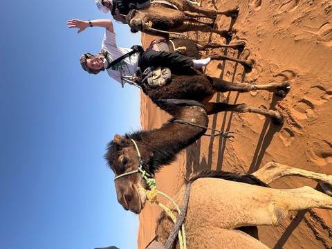       Traveler riding a camel across orange desert sands beneath a clear blue sky, waving cheerfully.
  
