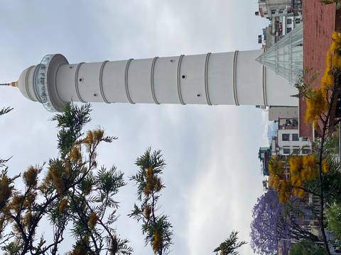       Tall white Dharahara Tower rises above city rooftops with flowering tree branches in foreground.
  