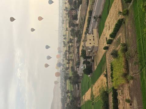       Klantbeoordelingsfoto van Egypte – Historic Horizons – 5* – bezoek aan het GEM – 8 dagen 
  