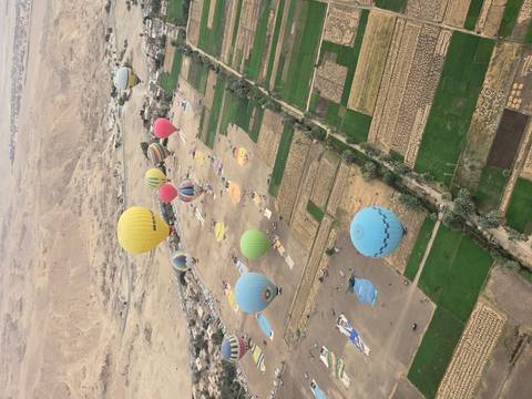       Klantbeoordelingsfoto van Egypte – Historic Horizons – 5* – bezoek aan het GEM – 8 dagen 
  