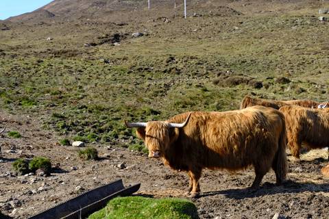       Klantbeoordelingsfoto van Skye &amp; de Highlands - 5 dagen 
  