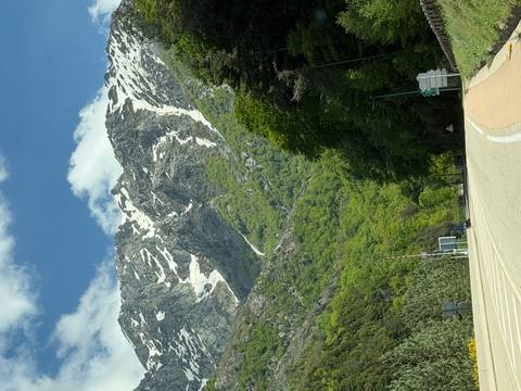       Mountain road leading toward rugged snow-capped peaks and dense green forest under a bright sky.
  