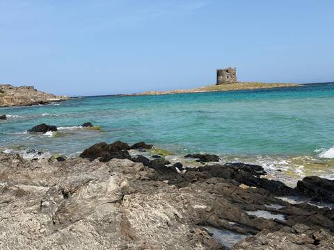       Turquoise waters lap against rocky shorelines with an old stone watchtower on a small island off Stintino.
  