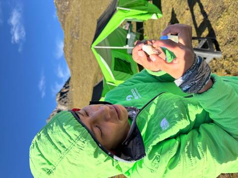       Outdoor guide in a bright green jacket examining a small stone at a mountain campsite with green tents and clear blue sky.
  