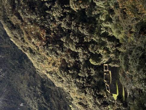       Dense jungle-covered hillside with small hidden Inca ruin at its base.
  