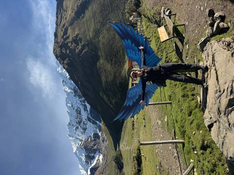       Traveler standing on rock with artistic blue wing installation and snowy mountain scenery.
  