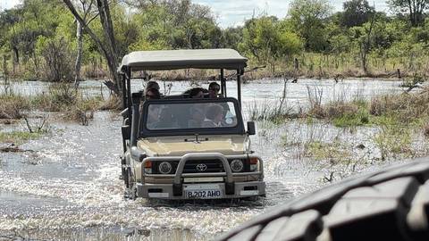       Open safari vehicle fording a shallow channel in the Okavango Delta wetlands.
  