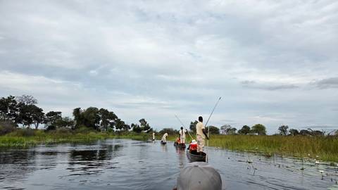       Polers guiding traditional mokoro canoes through tranquil channels of the Okavango Delta.
  