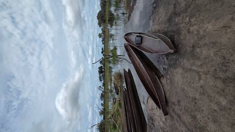       Traditional mokoro canoes pulled up on a muddy bank of a tranquil, reed-fringed lagoon under a dramatic cloudy sky.
  