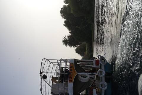       Small passenger boat leaving a foamy wake on the Nile at dusk with palm trees silhouetted on shore.
  