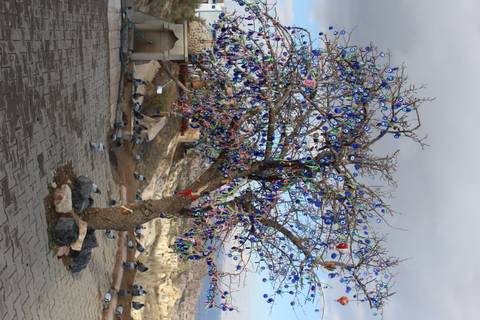       Klantbeoordelingsfoto van 13-daagse rondreis Best of Turkey (Kleine Groepsreis) 
  
