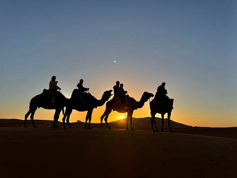       Klantbeoordelingsfoto van 3 Dagen Avontuurlijke trektocht op een kameel in de Sahara-woestijn van Marokko 
  