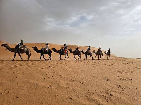       Klantbeoordelingsfoto van 3 Dagen Avontuurlijke trektocht op een kameel in de Sahara-woestijn van Marokko 
  