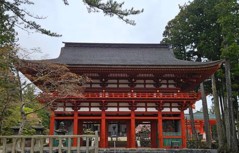      A striking vermilion temple gate framed by tall cedar trees stands against a pale sky in Japan.
  
