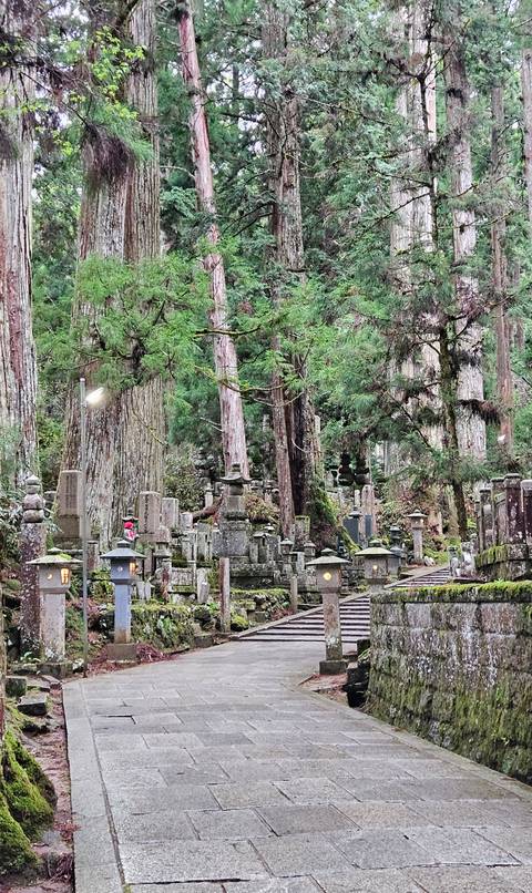       Moss-covered stone lanterns and gravestones line a pathway among towering cedar trees in a serene mountain cemetery.
  