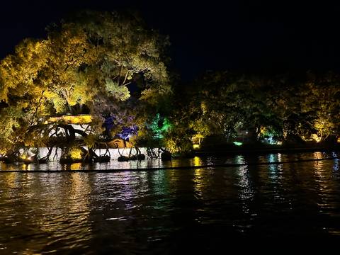      Colorful lights illuminate riverside trees and reflections during a night show on the water.
  
