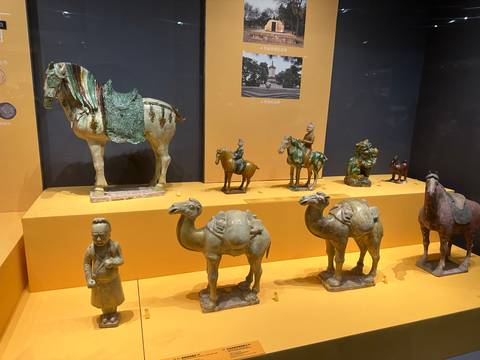       Museum display cases exhibit glazed Tang dynasty camel and horse figurines in warm lighting.
  