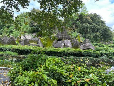       Moss-covered jagged boulders arranged among dense foliage beside a small pond
  