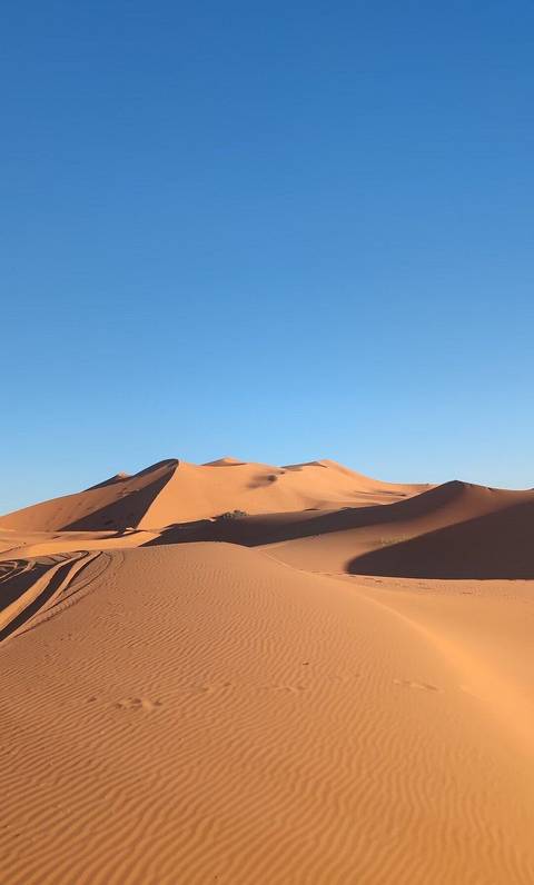       Klantbeoordelingsfoto van 3 Dagen Avontuurlijke trektocht op een kameel in de Sahara-woestijn van Marokko 
  