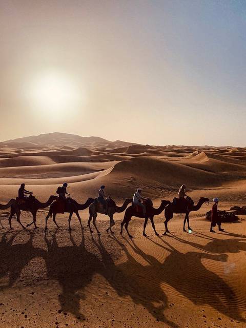       Klantbeoordelingsfoto van 3 Dagen Avontuurlijke trektocht op een kameel in de Sahara-woestijn van Marokko 
  