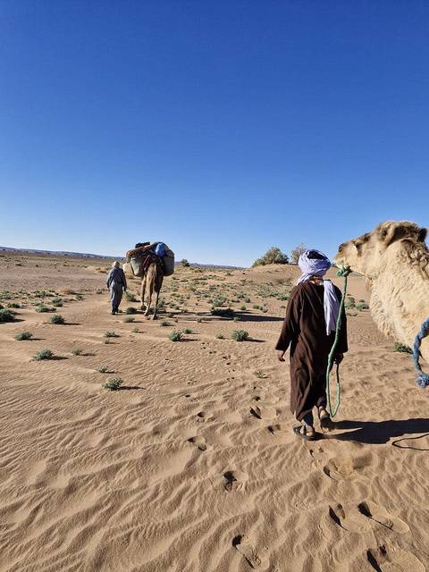       Klantbeoordelingsfoto van 3 Dagen Avontuurlijke trektocht op een kameel in de Sahara-woestijn van Marokko 
  