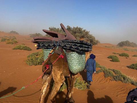       Klantbeoordelingsfoto van 3 Dagen Avontuurlijke trektocht op een kameel in de Sahara-woestijn van Marokko 
  