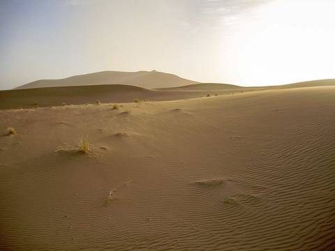       Klantbeoordelingsfoto van 3 Dagen Avontuurlijke trektocht op een kameel in de Sahara-woestijn van Marokko 
  