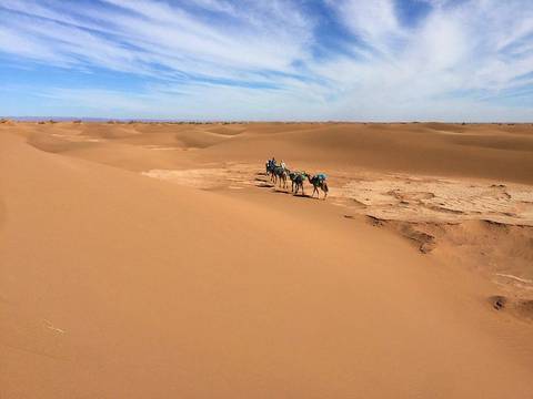       Klantbeoordelingsfoto van 3 Dagen Avontuurlijke trektocht op een kameel in de Sahara-woestijn van Marokko 
  