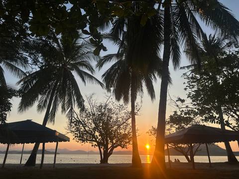       Silhouettes of palm trees against a colorful tropical sunset sky over beach huts.
  