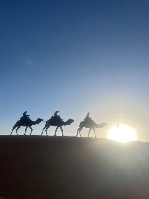       Silhouettes of three riders on camels against a glowing desert sunrise
  