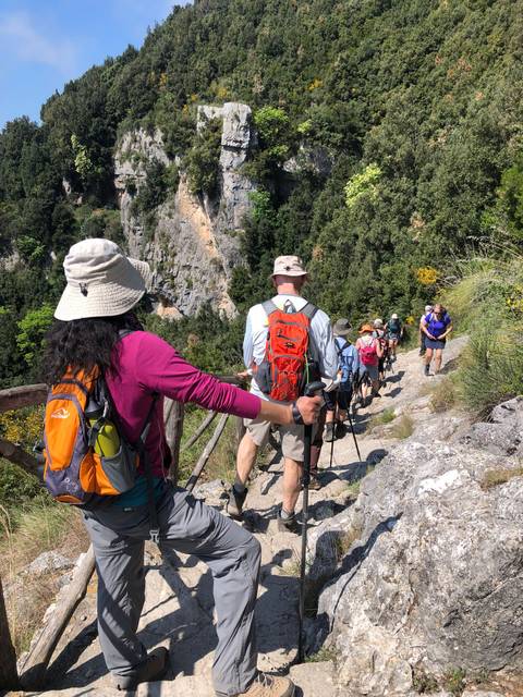       Line of trekkers with backpacks and trekking poles descending a rocky path bordered by lush cliffs
  