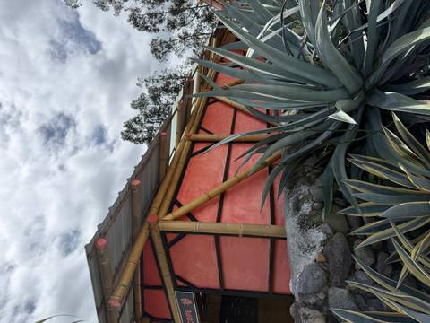       Bamboo-framed building with red walls surrounded by agave plants beneath a cloudy sky.
  