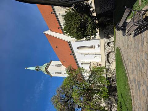      St Martin’s Cathedral with red-tiled roof and green spire framed by blue sky and spring foliage.
  